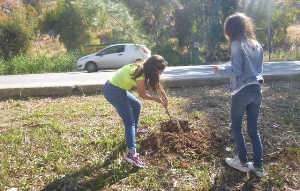 Αρχίζουν δενδροφυτεύσεις από το Δήμο Χαλκιδέων
