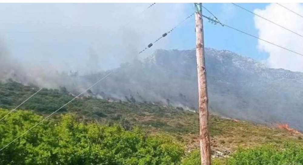 ΣΚΥΡΟΣ: Πυρκαγιά σε χαμηλή βλάστηση στην περιοχή Μελά