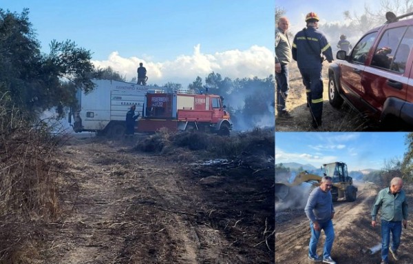 ΒΑΘΥ ΑΥΛΙΔΑΣ: Φωτιά έκαψε 35 στρέμματα αγροτικής έκτασης με ελιές (φωτό)