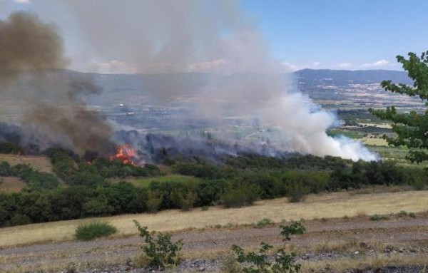 ΒΟΡΕΙΟΣ ΕΥΒΟΙΑ- ΑΣΜΗΝΙΟ: Άντρας έβαλε φωτιά σε αγροτοδασική περιοχή