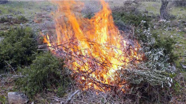 ΚΑΡΥΣΤΟΣ: Γυναίκα έβαλε φωτιά και ...έκαψε ένα χιλιάρικο ευρώ!