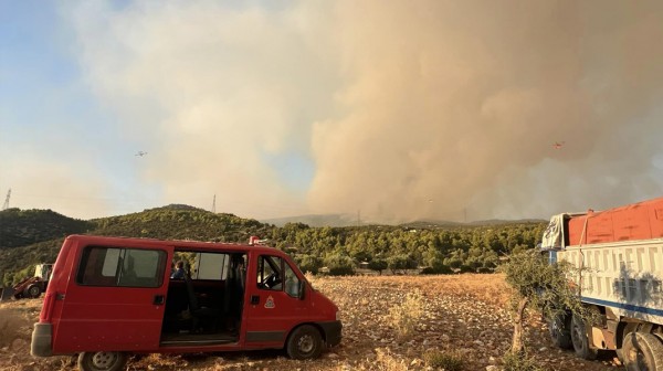 ΦΩΤΙΑ ΣΤΟ ΑΦΡΑΤΙ (ΚΕΝΤΡΙΚΗ ΕΥΒΟΙΑ): Καταλαγιάζουν τα δύο ενεργά πύρινα μέτωπα