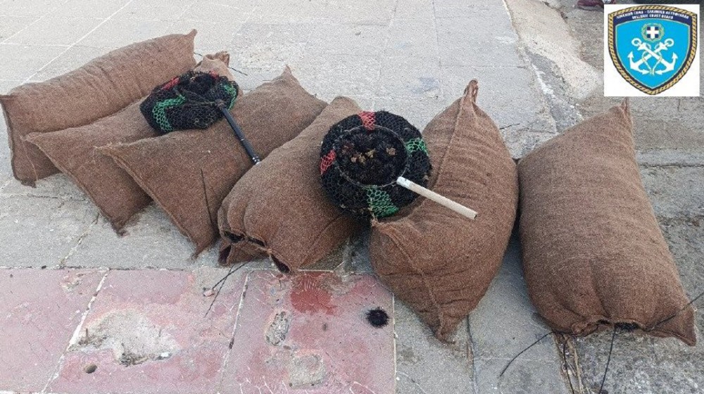 ΠΕΘΑΜΕΝΟΣ ΜΑΛΑΙΣΙΝΑΣ: Τρεις ερασιτέχνες ψάρεψαν παράνομα 4.500 αχινούς - Τους ...τσίμπησε το Λιμεναρχείο