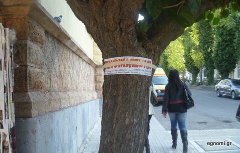 Ενοικιαστήριο στη μουριά