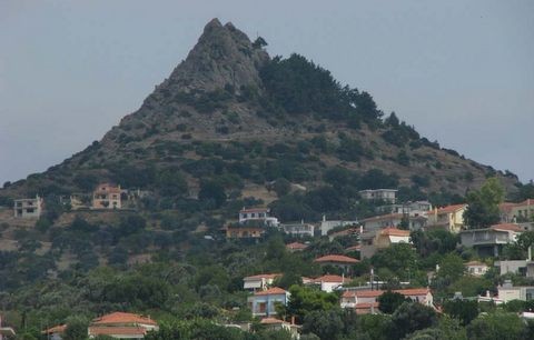 Αναφορά στην υπουργό Παιδείας για το Δημοτικό Σχολείο Οξυλίθου