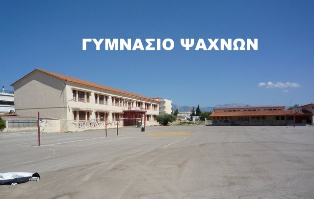ΓΥΜΝΑΣΙΟ ΨΑΧΝΩΝ: Οι μαθητές αγόρασαν εξοπλισμό για το σχολείο τους