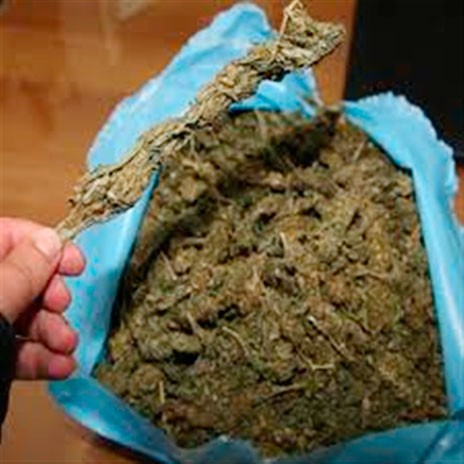 Αλυκές Δροσιάς: Σύλληψη 24χρονου με 12 κιλά χασίς