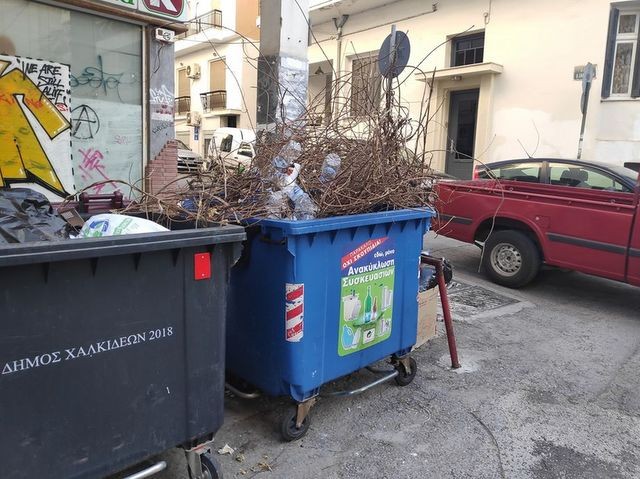 ΧΑΛΚΙΔΑ: Έριξαν κλαδιά από δένδρα στον κάδο ανακύκλωσης!