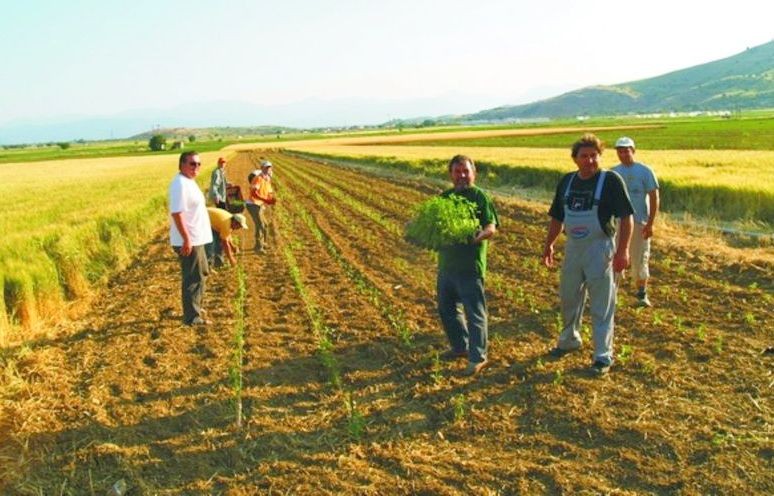 ΙΣΤΙΑΙΑ: Ημερίδα για την φορολογία των αγροτών