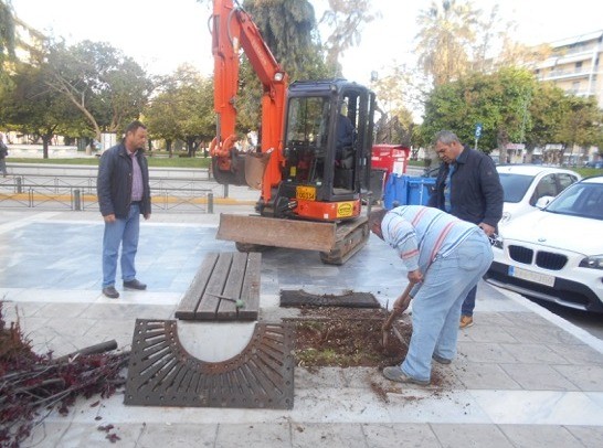 Χαλκίδα: Ξερίζωσαν τα άρρωστα δένδρα και έκαναν δενδροφύτευση