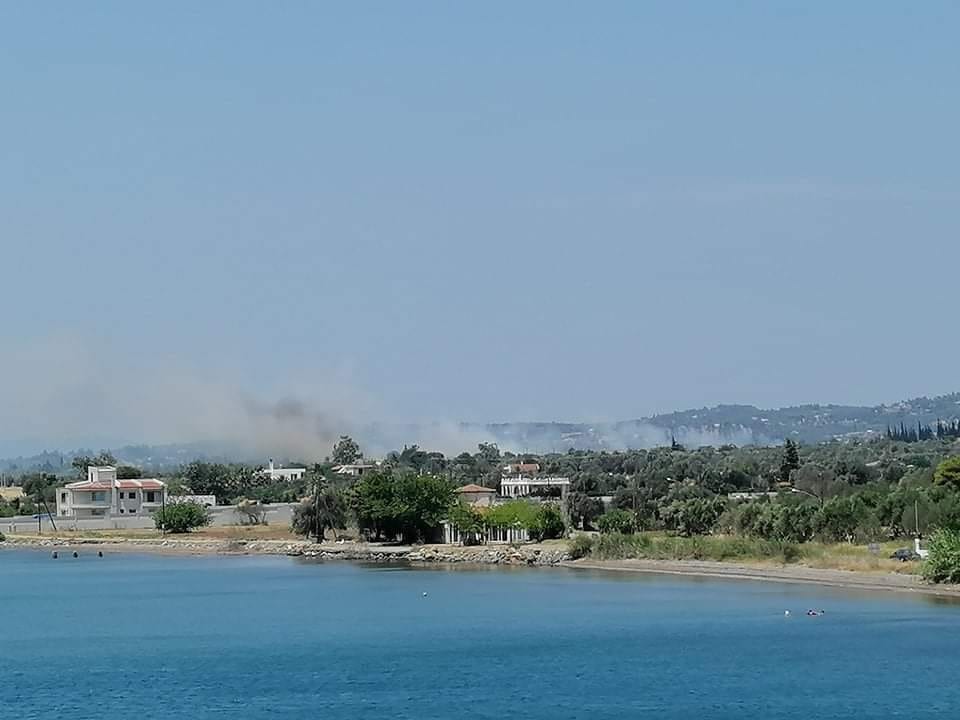 ΠΟΛΙΤΙΚΑ: Ξέσπασε φωτιά σε δυο σημεία