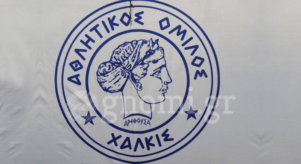 ΑΟ ΧΑΛΚΙΣ: Δεν έγιναν επεισόδια - Δυο φίλαθλοι ανέβηκαν στο ...κοτετσόσυρμα και αυτό έπεσε