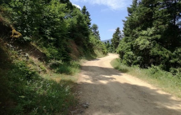 Βρέθηκαν λεφτά για τους αγροτικούς δρόμους της Ανθηδώνας