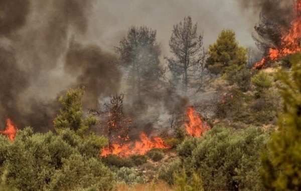 ΕΥΒΟΙΑ: Άρπαξε φωτιά στον Πυξαριά από κεραυνούς