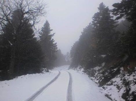 Άρχισε να χιονίζει στα όρεινα της Εύβοιας