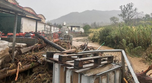 Μέχρι τον Ιούνιο οι αιτήσεις για την χορήγηση ενίσχυσης σε πληγέντες αγρότες από τις πλημμύρες του 2023
