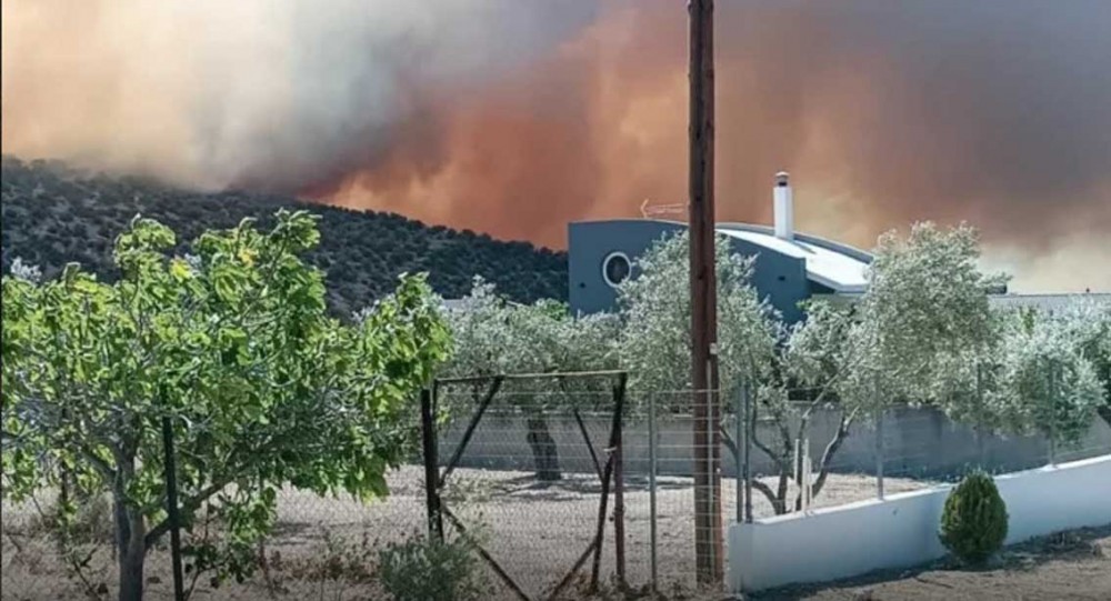 ΦΩΤΙΑ ΨΑΧΝΩΝ: Χιλιάδες στρέμματα καμένης γης και ζημιές σε επιχειρήσεις