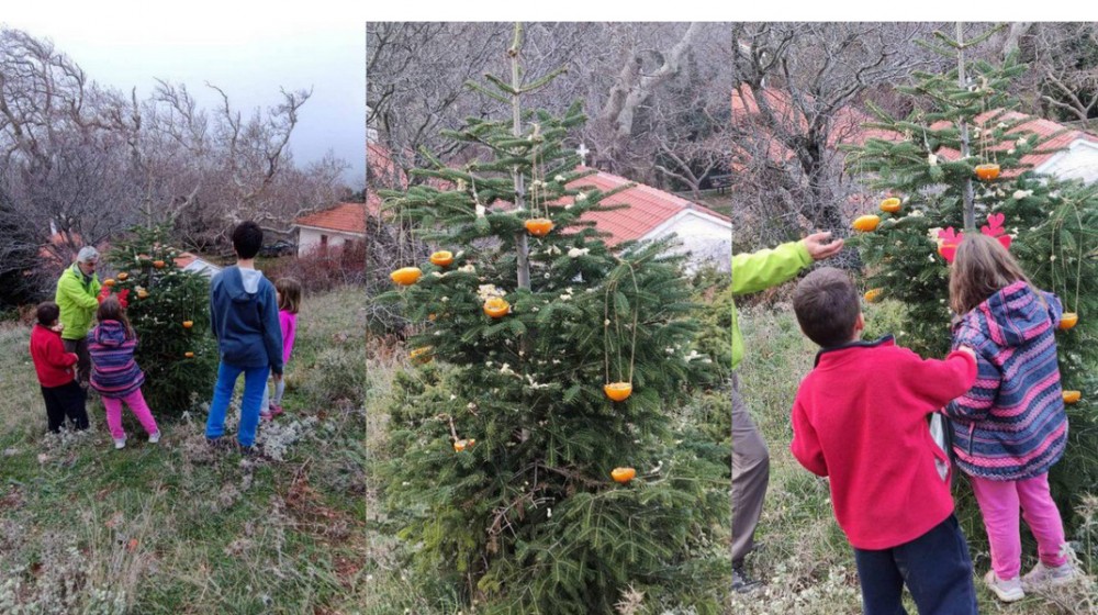 ΧΑΛΚΙΔΑ: Στολίζουν τα δένδρα στο άλσος του Καράμπαμπα με τροφές για τα πουλιά