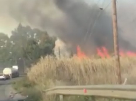 Πυρκαγιά ξέσπασε πάλι στον υγρότοπο του Κολοβρέχτη Ψαχνών