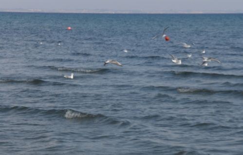 Πήγε να πνιγεί μαζί με το παιδί της