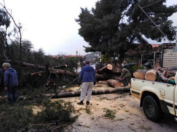 ΡΟΒΙΕΣ: Πτώσεις δένδρων και διακοπές ηλεκτροδότησης στην περιοχή