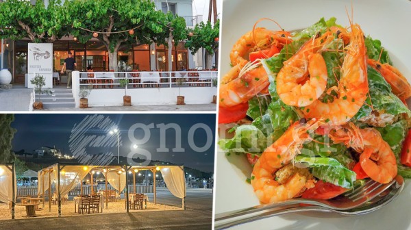 ΚΟΥΤΣΗ ΚΑΡΑΒΙΔΑ: Εχει γίνει στέκι στην παραλία των Αγίων Αποστόλων