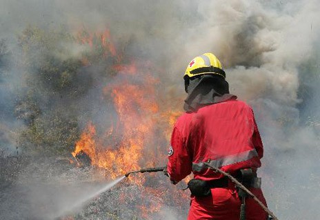 Πυρκαγιά σε πευκοδάσος στο Δήμο Ερέτριας