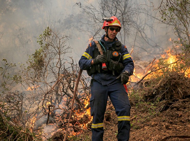 Πυρκαγιά καίει πευκόδασος στο Θεολόγο