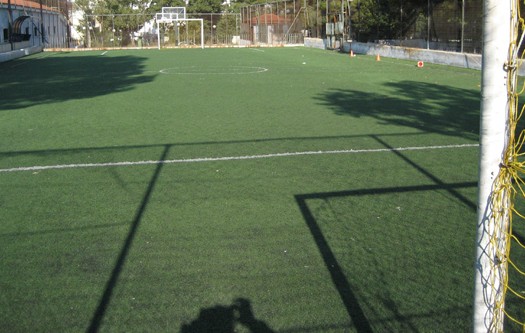 Χλοοτάπητας στη Φαράκλα