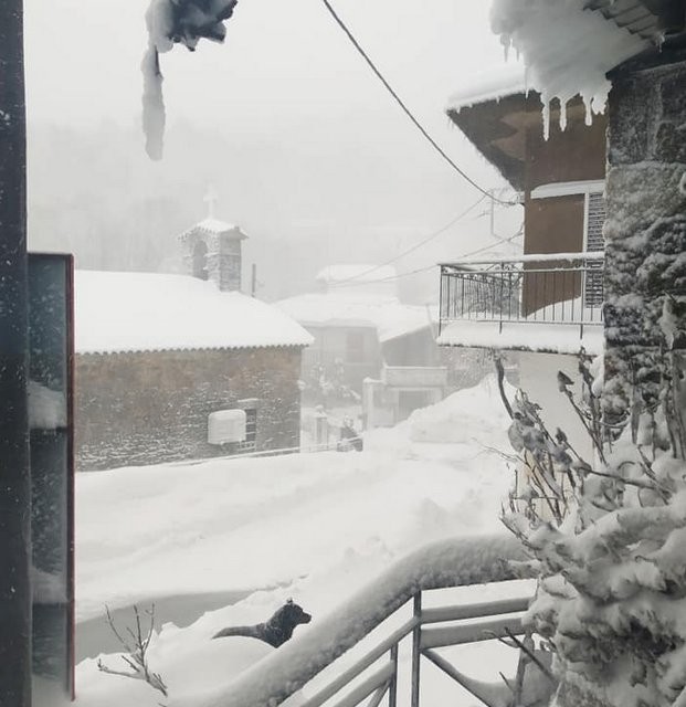 ΧΙΟΝΙΑ ΕΥΒΟΙΑ: Η Σέττα έχει ...θαφτεί στο χιόνι (φωτό)