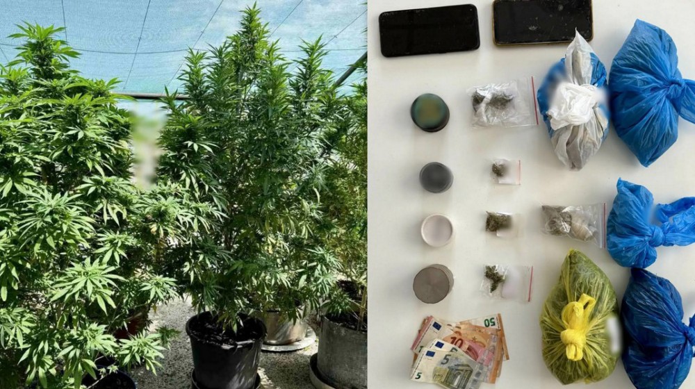 Καλλιέργεια χασίς σε σπίτι στη Λαμία από δύο Έλληνες