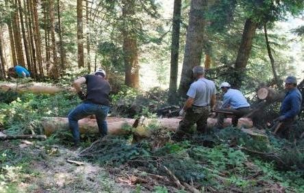 Βουλευτές του ΣΥΡΙΖΑ ζητάνε παράταση της απασχόλησης στα δάση