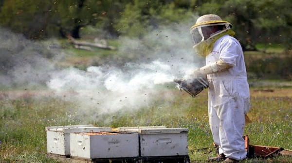 ΕΥΒΟΙΑ: Συνελήφθη ηλικιωμένος για την φωτιά στον Αλμυροπόταμο - Του επιβλήθηκε πρόστιμο 3093 ευρώ
