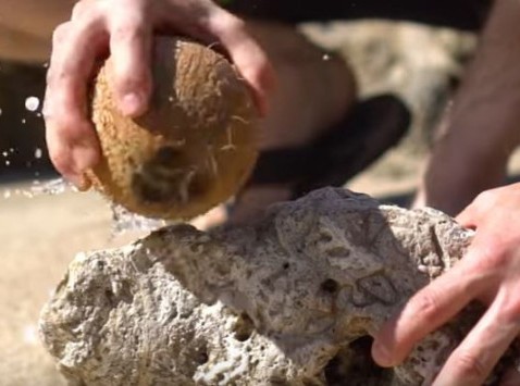 Μάσκες ομορφιάς βγαλμένες από το ... Survivor