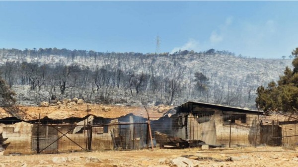 Οκτώ προτάσεις του ΣΥΡΙΖΑ για τις περιοχές των πυρκαγιών