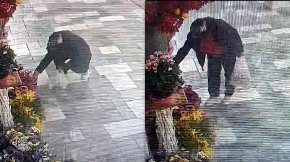 ΧΑΛΚΙΔΑ: Κλοπή μέρα μεσημέρι στον Ολλανδικό Κήπο