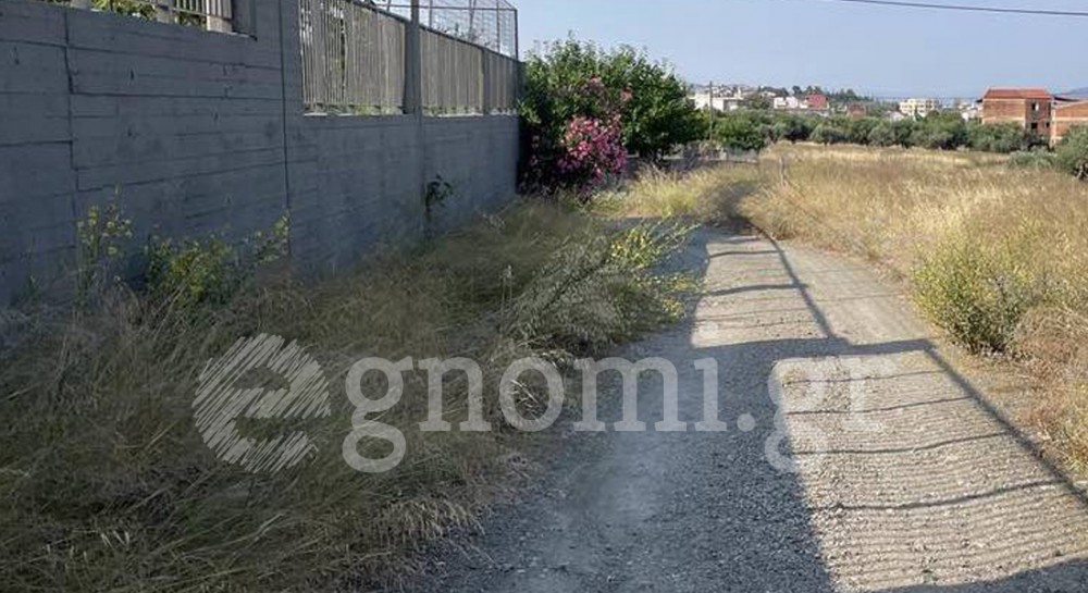 ΛΥΚΕΙΟ ΑΡΤΑΚΗΣ: Πνίγεται στο χώμα και τα χορτάρια