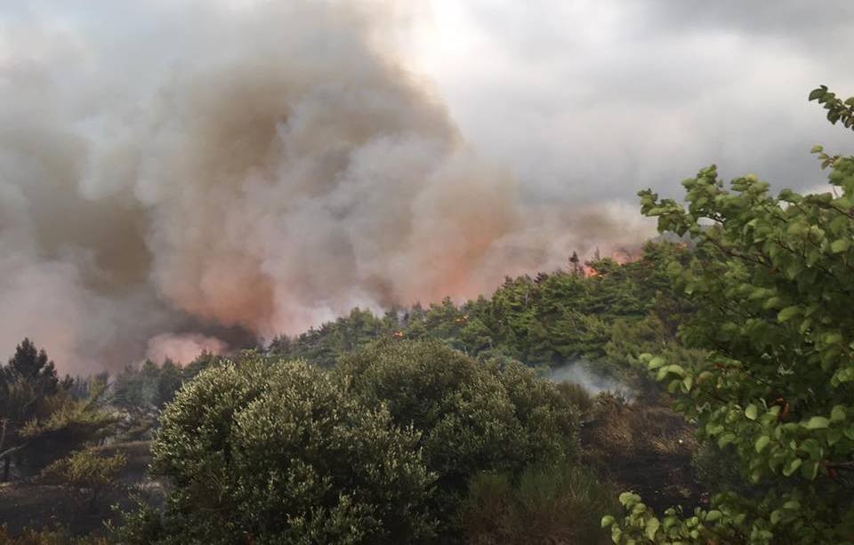Μεγάλη πυρκαγιά καίει την Κύμη