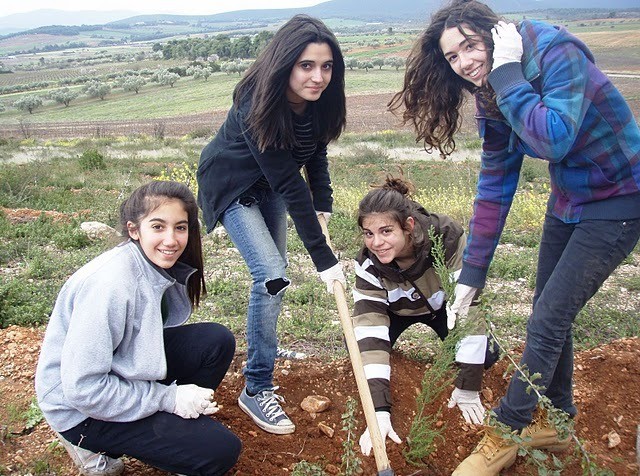 Φύτεψαν 800 δένδρα στη Ριτσώνα