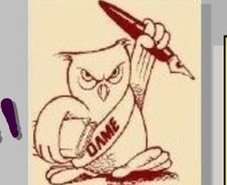 Tα πήρε στο κρανίο η κουκουβάγια του OEΔB