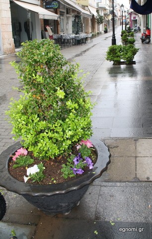 Πρασίνισε η οδός Κριεζώτου