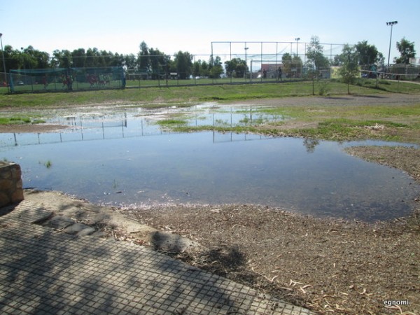 ΠΑΡΚΟ ΛΑΟΥ-ΧΑΛΚΙΔΑ: Κουνούπια-ελικόπτερα έχουν γίνει φόβος και τρόμος για τα μικρά παιδιά