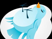 Το σπουργιτάκι