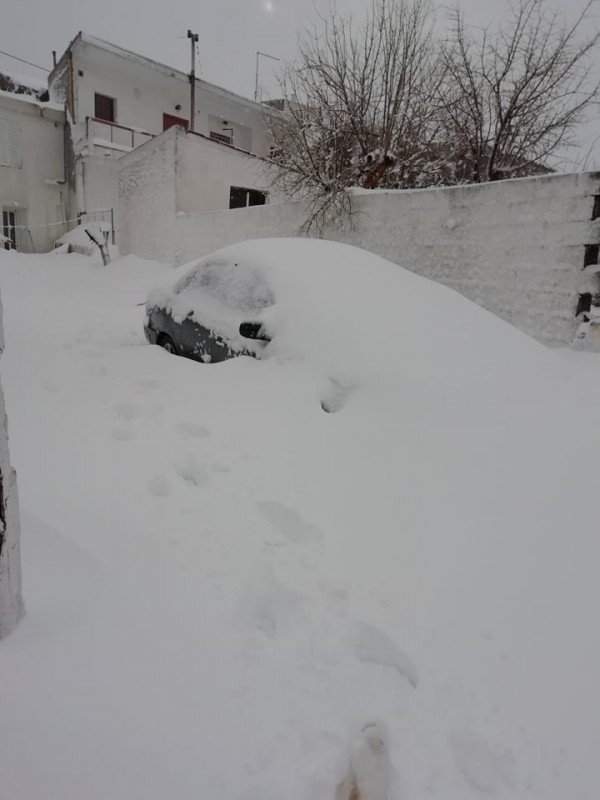 Κάτω Στενή: ΙΧ θάφτηκαν στο χιόνι