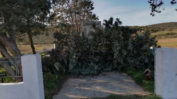 ΔΗΜΟΣ ΚΥΜΗΣ- ΑΛΙΒΕΡΙΟΥ: Σπασμένο δένδρο παραμένει για εβδομάδες πάνω στο Μνημείο της Μάχης της Λαμπούσας