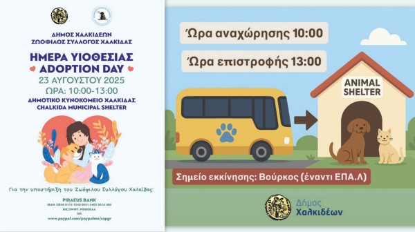 ΧΑΛΚΙΔΑ: Δωρεάν μεταφορά για την Ημέρα Υιοθεσίας στο Δημοτικό Καταφύγιο Ζώων