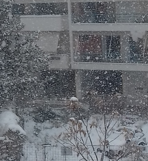 Πυκνή χιονόπτωση αυτή την ώρα στη Χαλκίδα