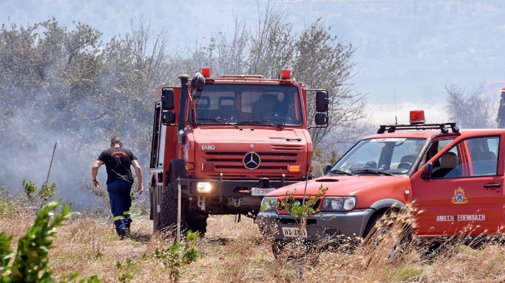 ΜΥΤΙΚΑΣ: Ξέσπασε φωτιά σε ελιές
