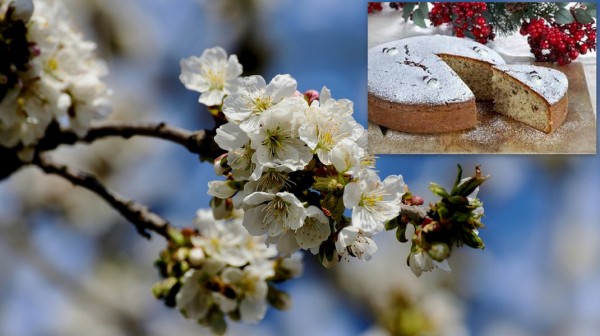 ΧΑΛΚΙΔΑ-ΣΙΔΕΡΙΤΗΣ: Κοπή πίτας με ποίηση, ζωντανή μουσική και τραγούδια