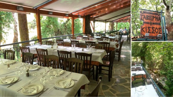 ΚΙΣΣΟΣ ΣΤΕΝΗ: Κρεατικά στη σούβλα μέσα στο πράσινο!